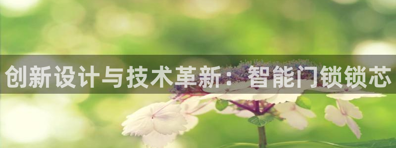 利记官网官方网站：创新设计与技术革新：智能门锁锁芯