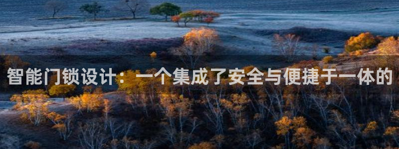 利记88官网app：智能门锁设计：一个集成了安全与便捷于一体