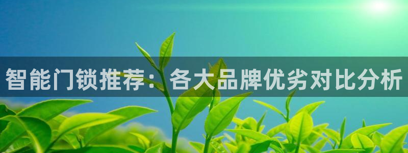 利记彩票导航网址官网hd71：智能门锁推荐：各大品牌优劣对比