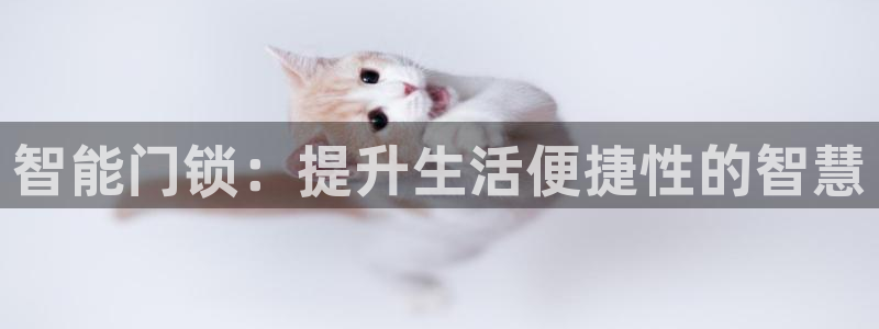 利记坊平台唯一官网：智能门锁：提升生活便捷性的智慧