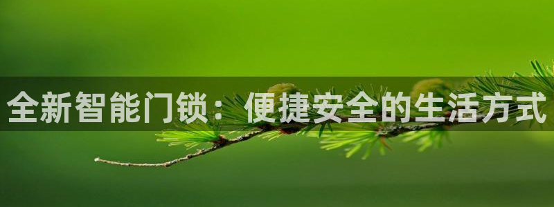 利记体育平台官网：全新智能门锁：便捷安全的生活方式