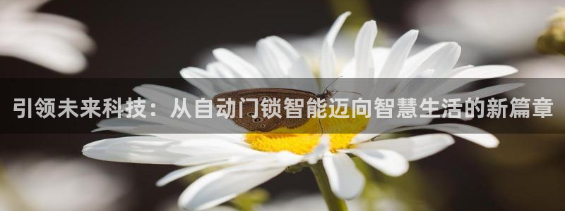 利记真的官网：引领未来科技：从自动门锁智能迈向智慧生活的新篇