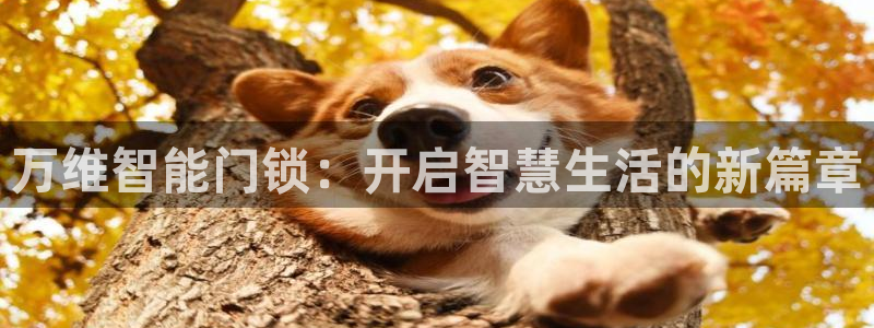 利记彩票官网hd71：万维智能门锁：开启智慧生活的新篇章