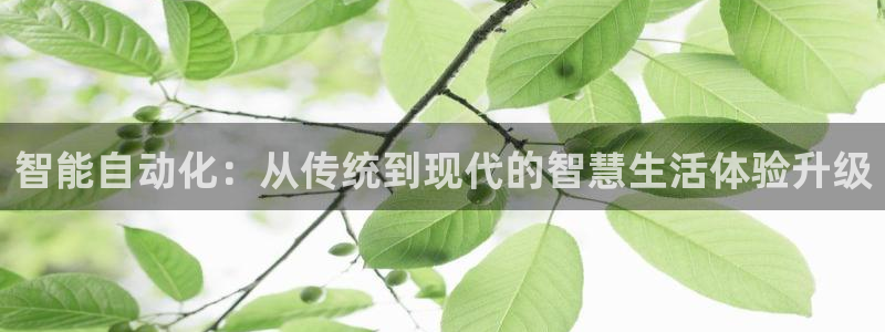 利记官网葡京投注网址：智能自动化：从传统到现代的智慧生活体验