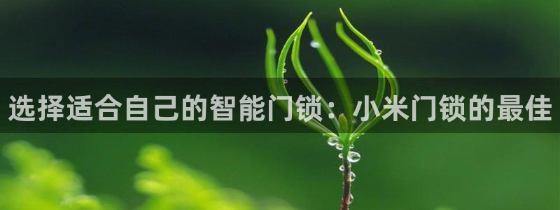 利记官网备用网址：选择适合自己的智能门锁：小米门锁的最佳