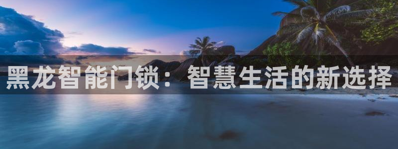利记坊官网注册账号申请：黑龙智能门锁：智慧生活的新选择
