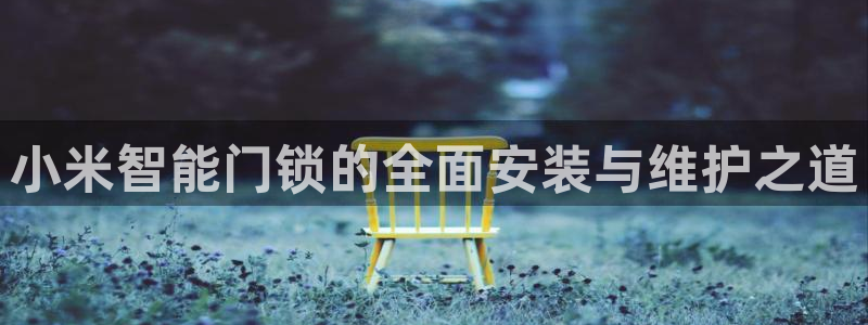 利记官网注册网：小米智能门锁的全面安装与维护之道