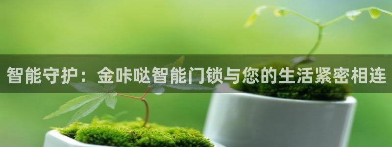 188bet注册利记官网app：智能守护：金咔哒智能门锁与您