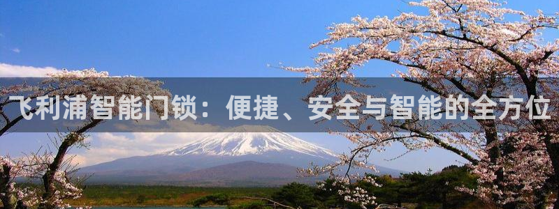 利记app官网真人游戏：飞利浦智能门锁：便捷、安全与智能的全