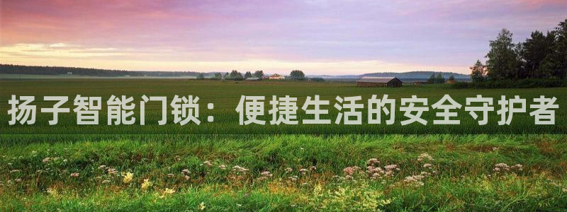利记现场官网：扬子智能门锁：便捷生活的安全守护者