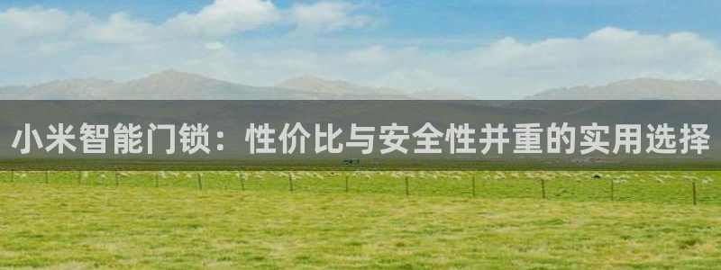 利记手机官网银河网：小米智能门锁：性价比与安全性并重的实用选