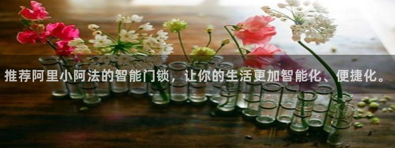 利记官网app：推荐阿里小阿法的智能门锁，让你的生活更加智能