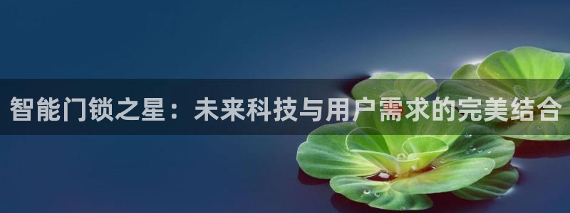 利记国际线址官网：智能门锁之星：未来科技与用户需求的完美结合