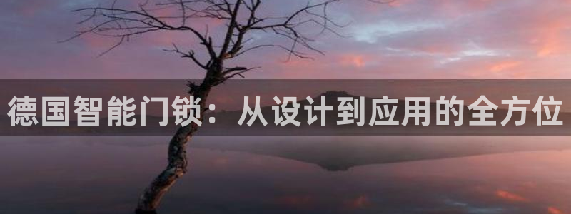 利记彩票导航网址官网hd71：德国智能门锁：从设计到应用的全