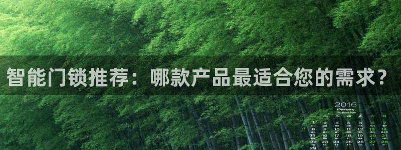 利记手机官网：智能门锁推荐：哪款产品最适合您的需求？