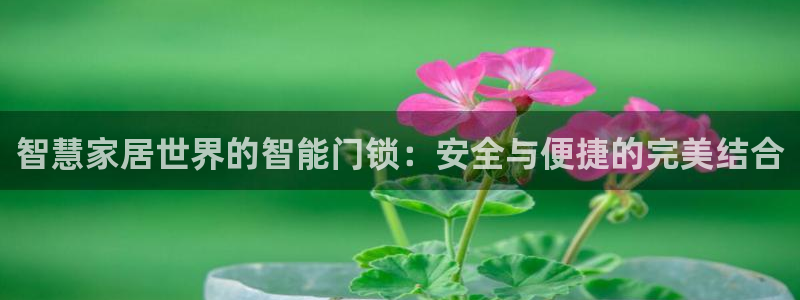 利记博彩官网APP：智慧家居世界的智能门锁：安全与便捷的完美