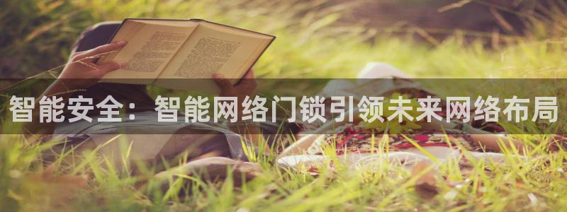 利记坊平台唯一官网：智能安全：智能网络门锁引领未来网络布局