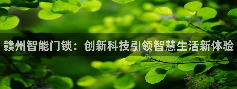 利记现场官网：赣州智能门锁：创新科技引领智慧生活新体验
