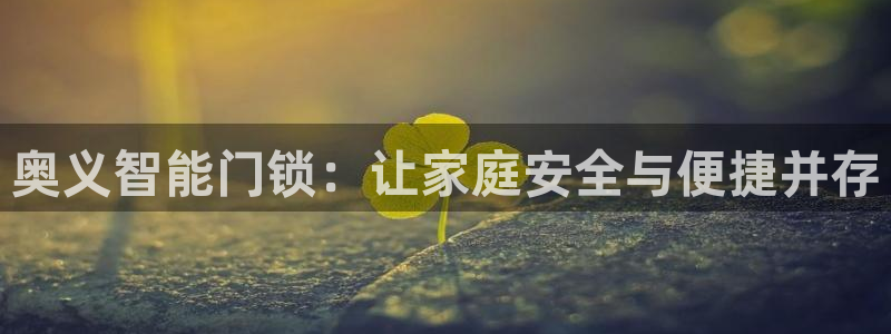 利记官网首页：奥义智能门锁：让家庭安全与便捷并存