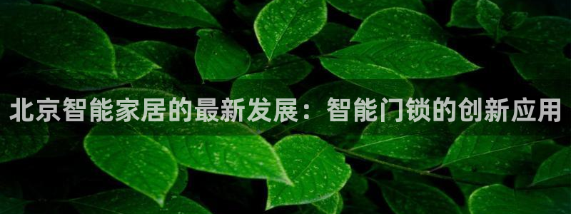 利记国际官网：北京智能家居的最新发展：智能门锁的创新应用