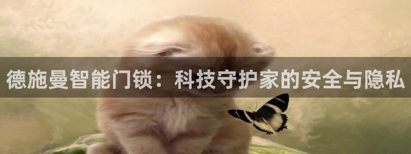 利记手机官网bb电子平台官方：德施曼智能门锁：科技守护家的安