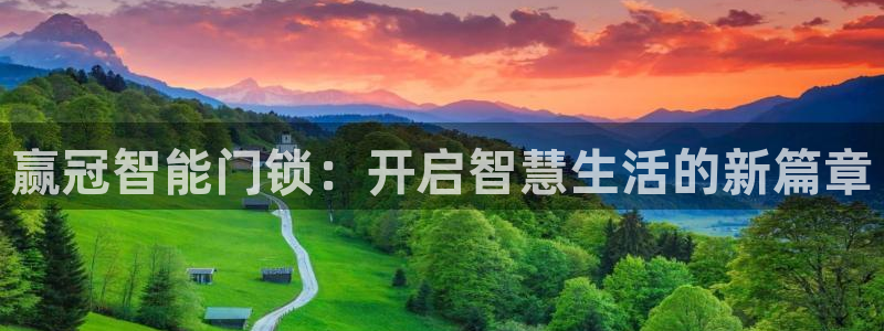 利记真的官网：赢冠智能门锁：开启智慧生活的新篇章