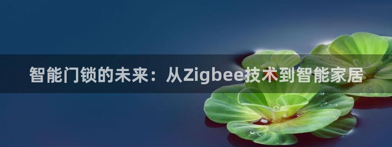 利记真的官网：智能门锁的未来：从Zigbee技术到智能家居
