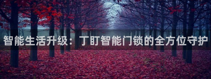 利记广告联盟官网：智能生活升级：丁盯智能门锁的全方位守护