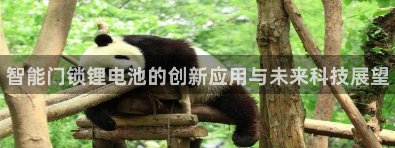 利记彩票平台官网：智能门锁锂电池的创新应用与未来科技展望
