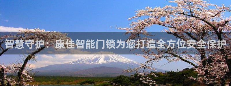 利记信誉官网：智慧守护：康佳智能门锁为您打造全方位安全保护