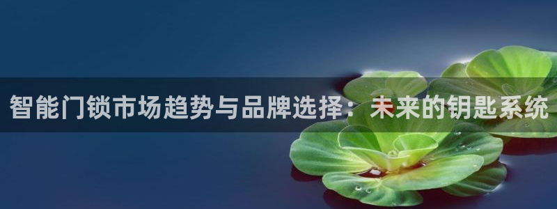 利记二手车行官网：智能门锁市场趋势与品牌选择：未来的钥匙系统